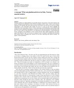 A step up? Why taxi platform drivers in Oslo, Norway started to drive